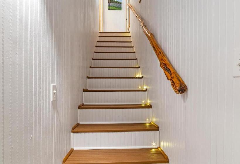 스탠다드 룸, Big Fern Cabin