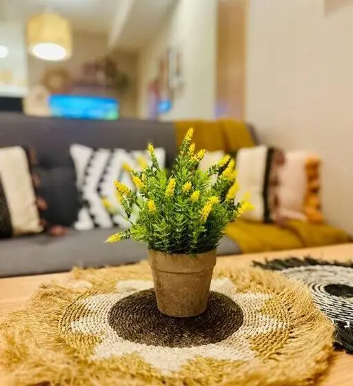 استودیوی لوکس, Cozy Casa Oasis