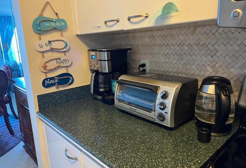 جناح, Ponce Inlet Florida Breathtaking Oceanfront Penthouse Villa!