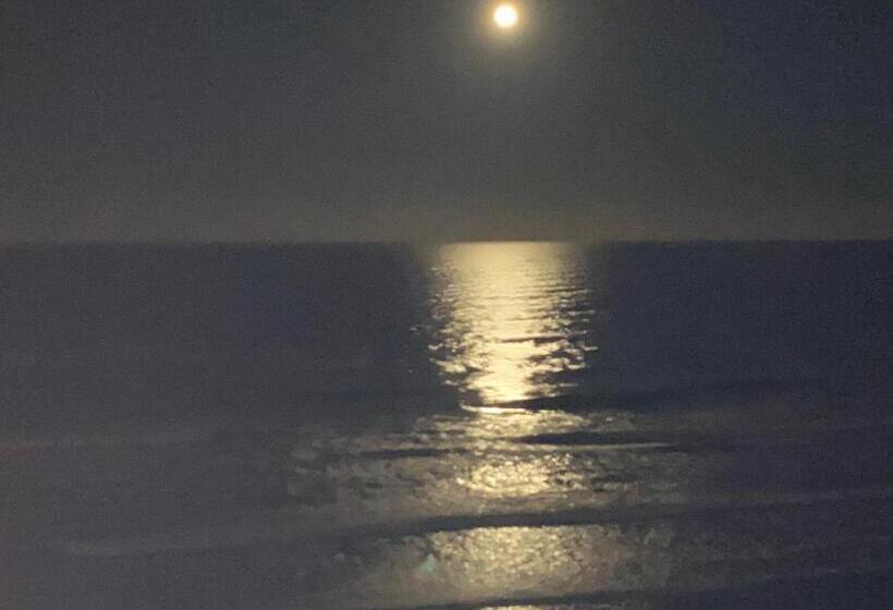 جناح, Ponce Inlet Florida Breathtaking Oceanfront Penthouse Villa!