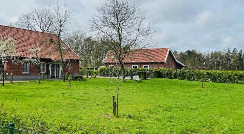 스탠다드 룸 킹사이즈 침대, B&b Hoeve Fraai Achterhoek