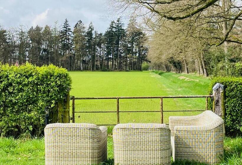 اتاق استاندارد چهار تخته, B&b Hoeve Fraai Achterhoek