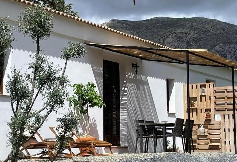 Апартаменты 1 Спальня с Террасой, Finca Valle Verde