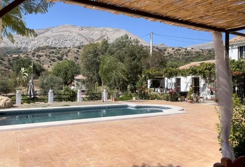 Апартаменты 1 Спальня с Террасой, Finca Valle Verde