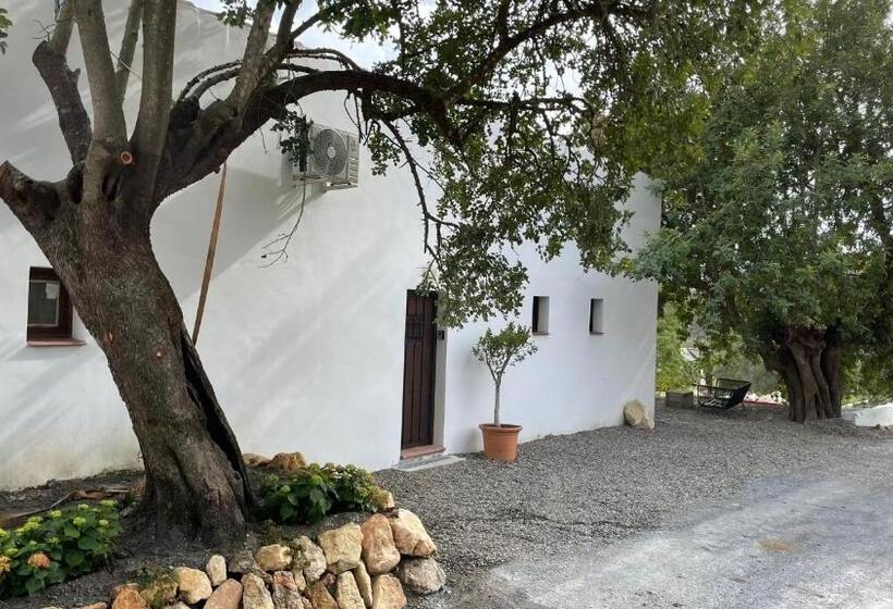 غرفة قياسية, Finca Valle Verde