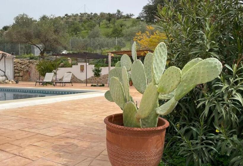 غرفة قياسية, Finca Valle Verde