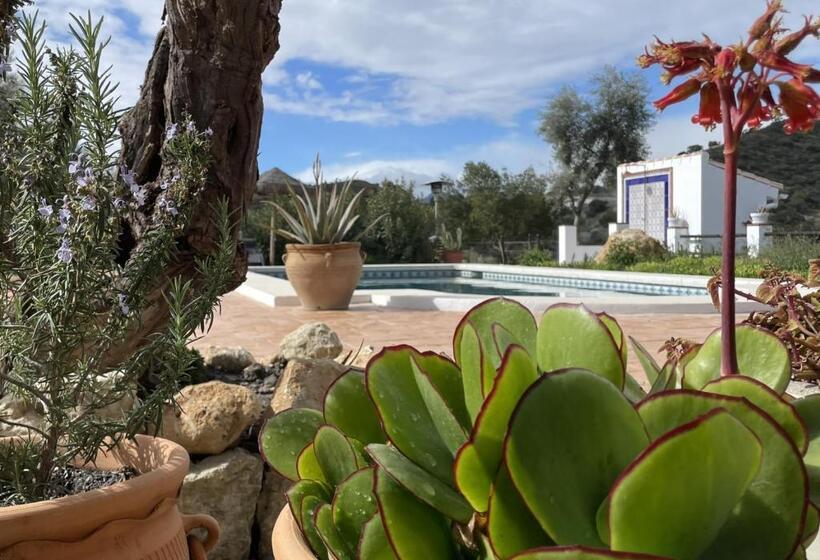 غرفة قياسية, Finca Valle Verde