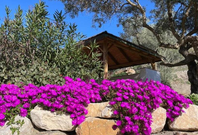 غرفة قياسية, Finca Valle Verde