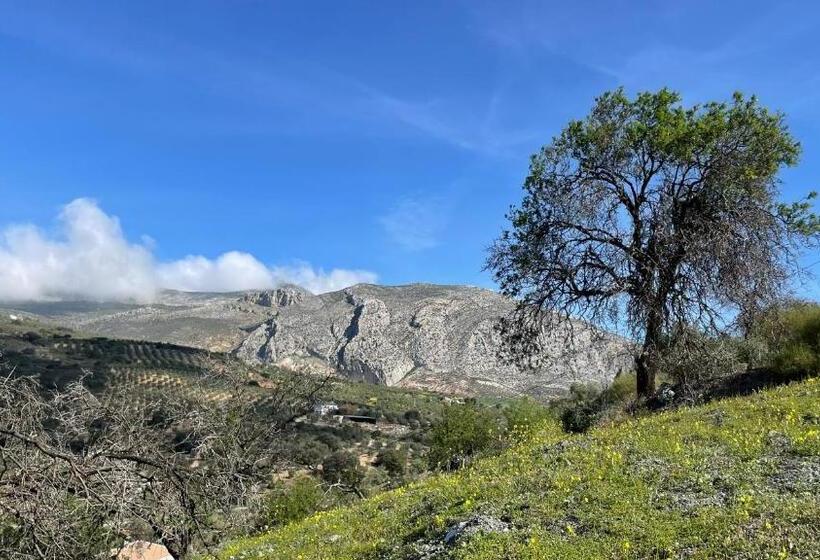 غرفة قياسية, Finca Valle Verde