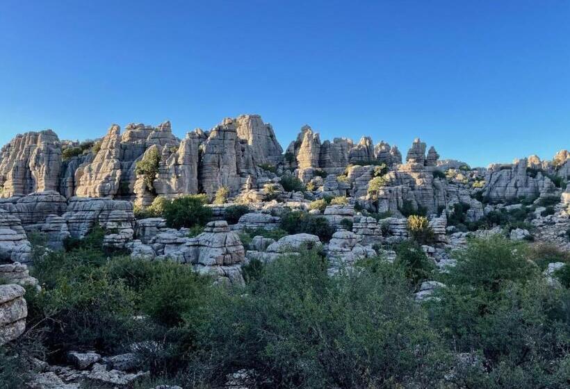 غرفة قياسية, Finca Valle Verde