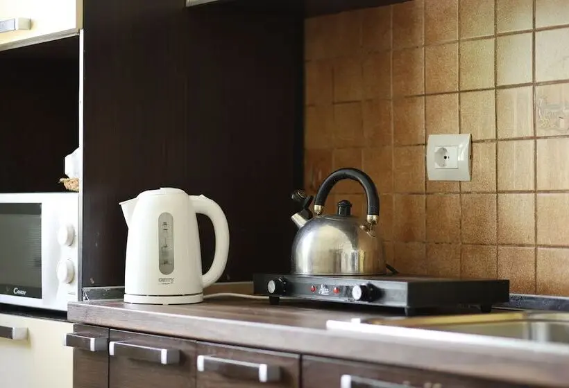 ルームシェアのワンベッド, Hostel Osho
