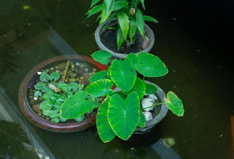 标准间带阳台, Nụ Cười Mũi Né