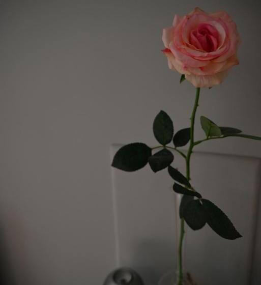 غرفة قياسية, A L Orée Du Bois