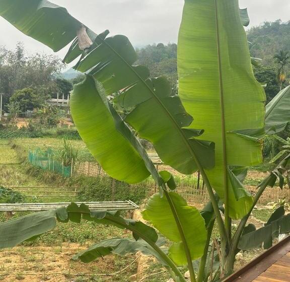 اتاق استاندارد با چشمانداز باغ, Peaceful Maichau Homestay