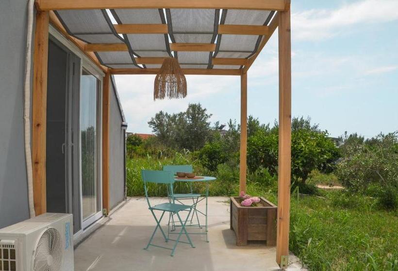 标准房带园景, Quonset Glamping