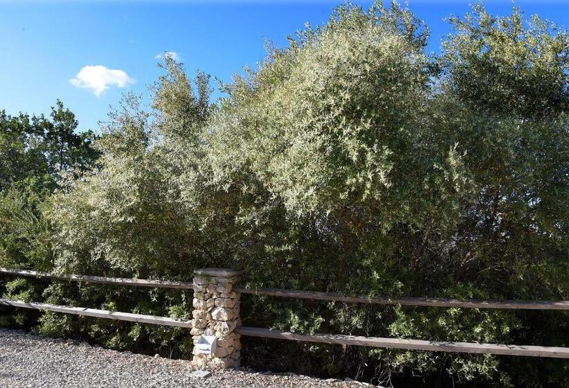 Апартаменты 2 Спальни, Tenuta Busulmone Con Piscina Val Di Noto Villa & Suits