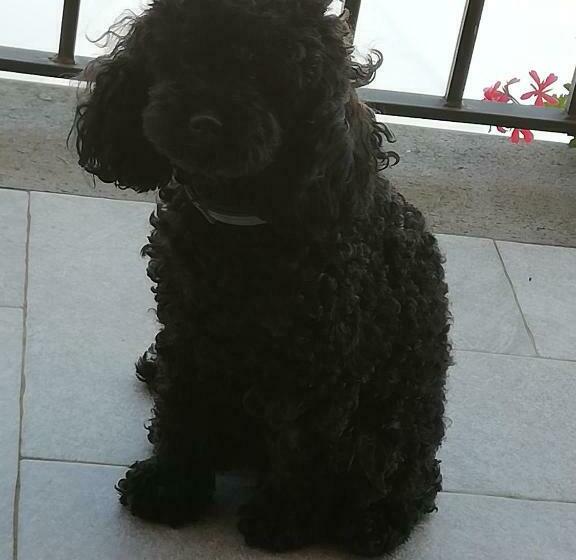 آپارتمان 1 خوابه, B&b La Casetta Dei Nonni