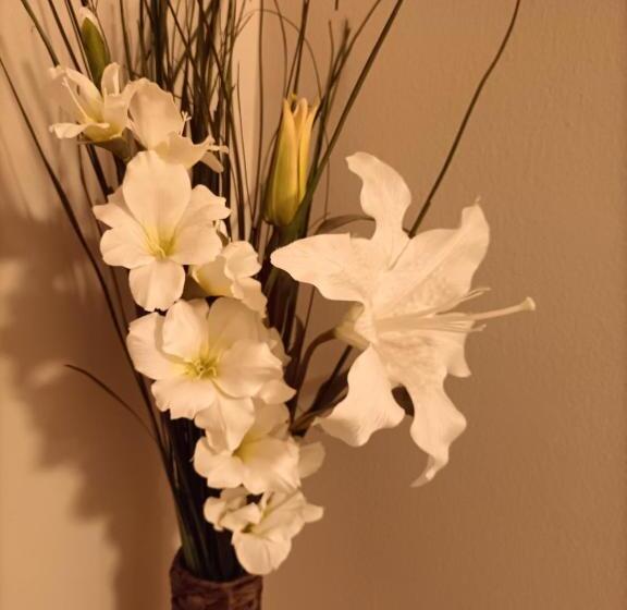 اتاق استاندارد با بالکن, Casapiu Rooms