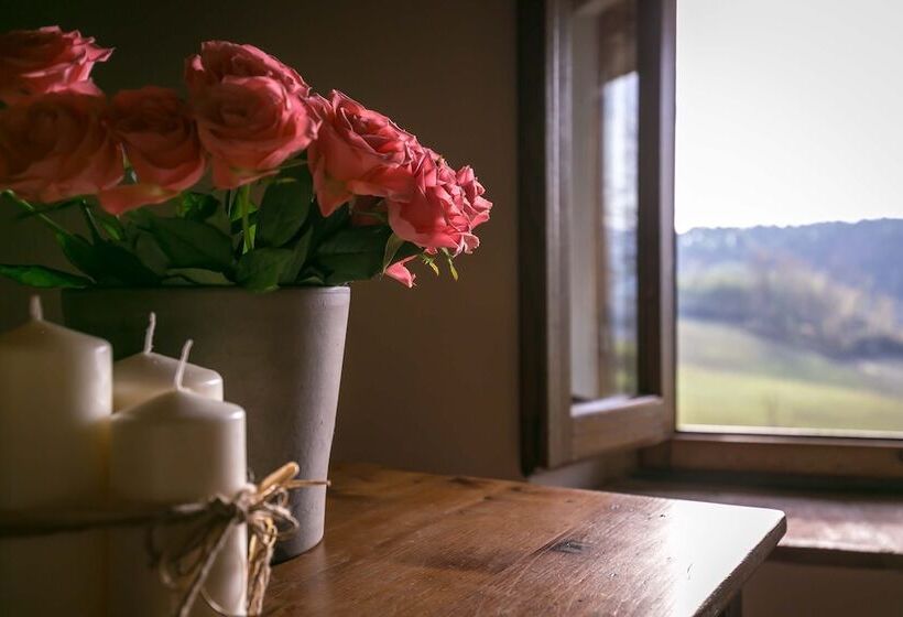 标准间, Il Vignolino