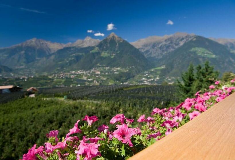 침실 1개 전망 아파트, Appartements Graf Hartwig