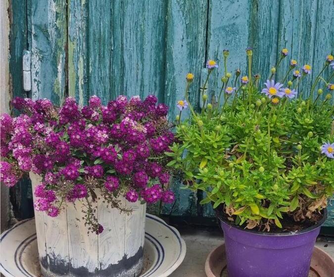 침실 1개 아파트, Appartements Graf Hartwig