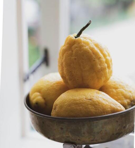 침실 1개 가든 전망 아파트, Appartements Graf Hartwig