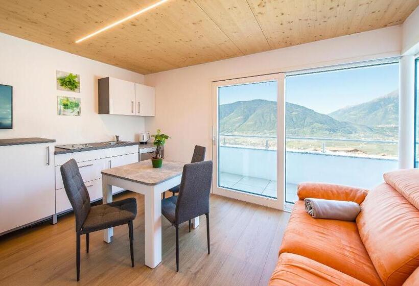 침실 1개 테라스 아파트, Appartements Graf Hartwig