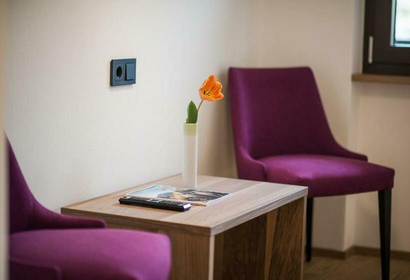 スタンダードルーム, Salgart