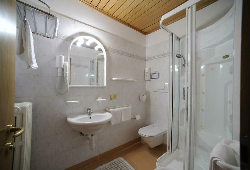 חדר סטנדרט נוף להרים, Vioz