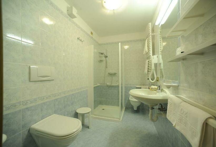 חדר סטנדרט נוף להרים, Vioz