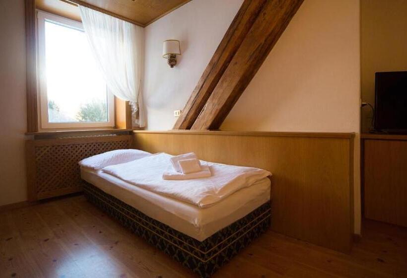 חדר קלאסי לארבעה, Vioz