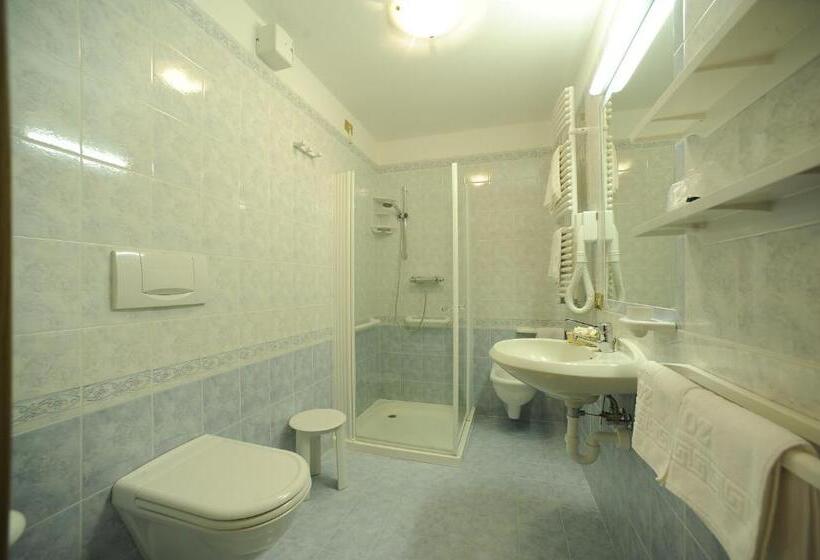 חדר קלאסי לארבעה, Vioz