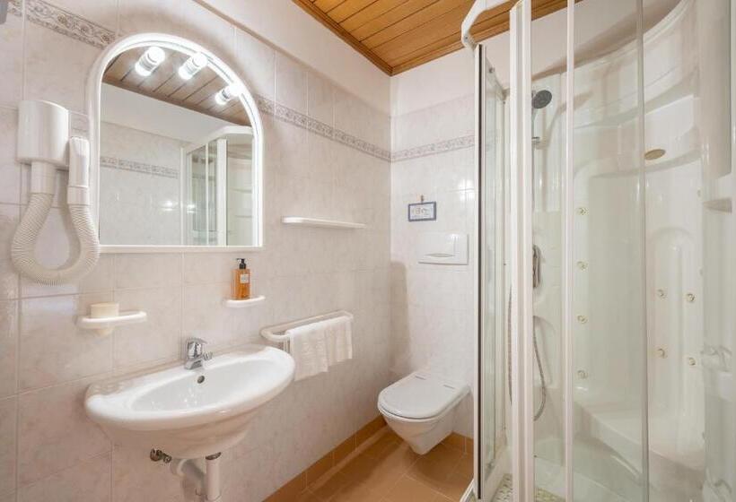 חדר סטנדרט נוף להרים, Vioz