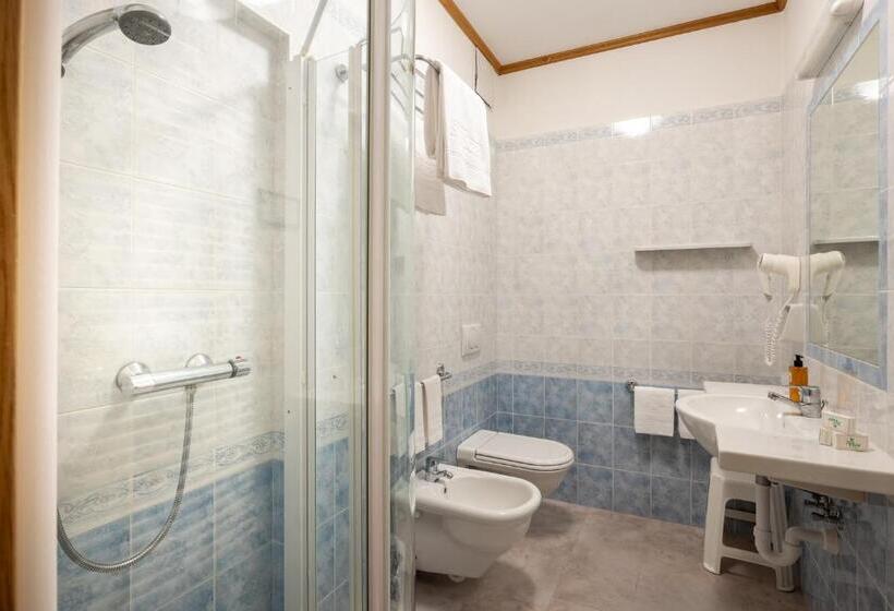 חדר קלאסי לשלושה, Vioz