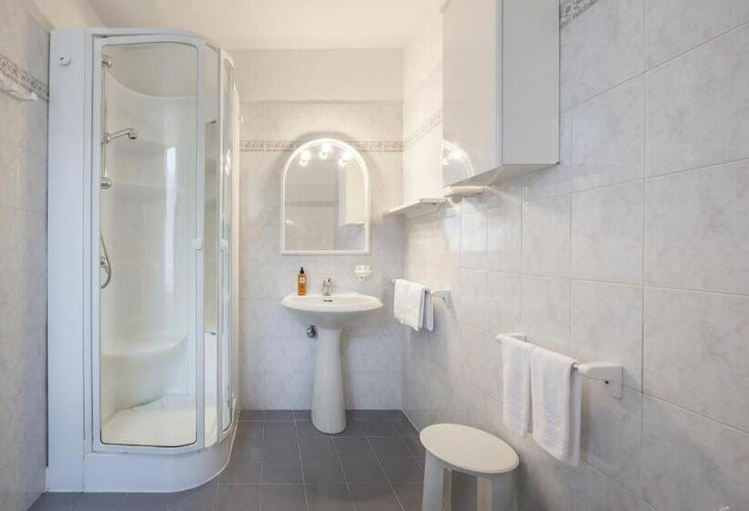 חדר קלאסי לארבעה, Vioz