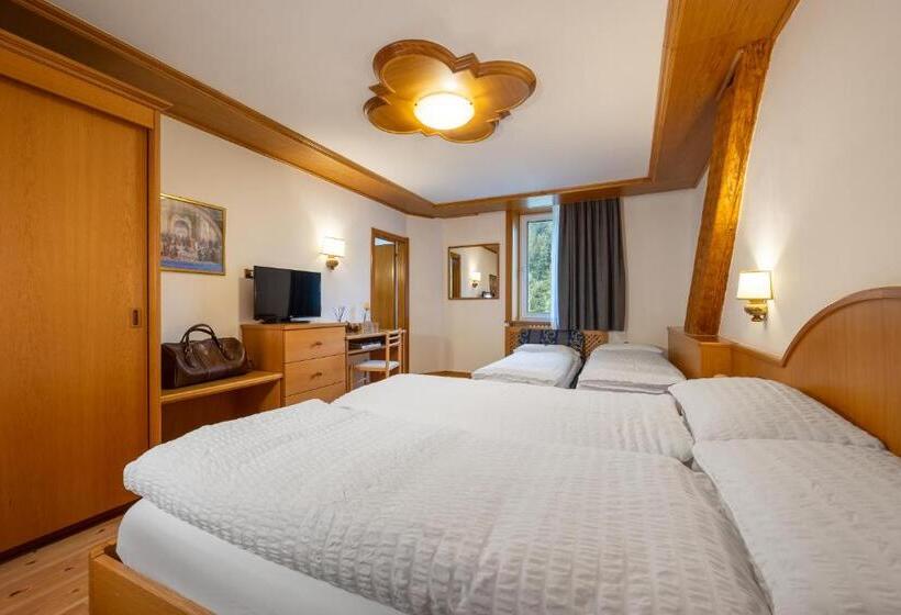 חדר קלאסי לארבעה, Vioz