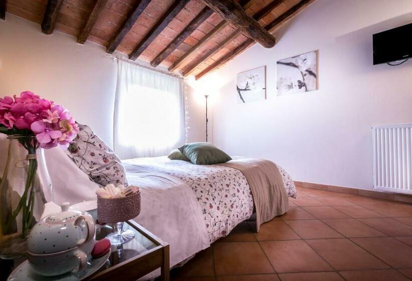 标准间, Il Vignolino