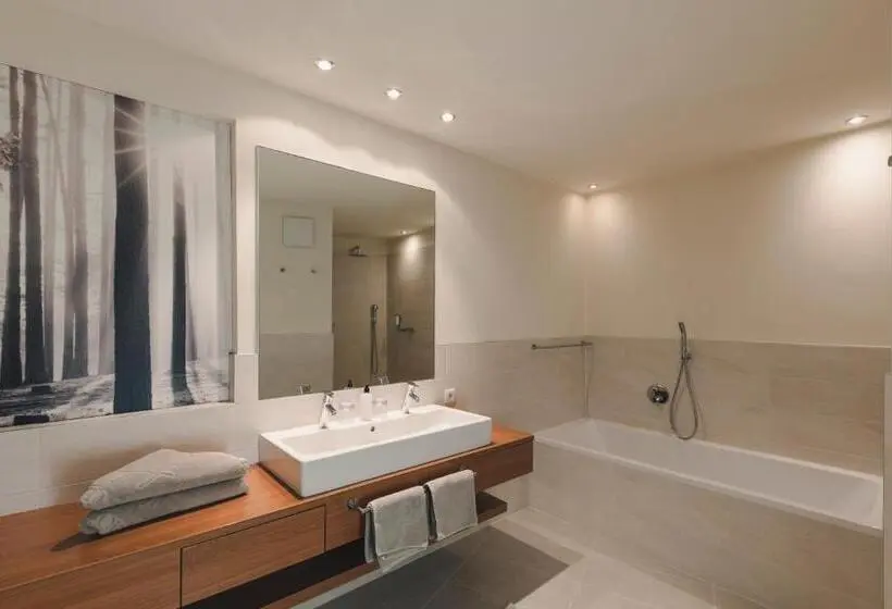 Deluxe-huone Parveke, Viertler