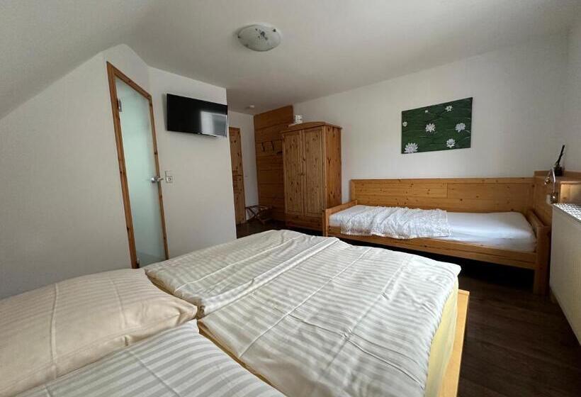 Négyágyas Standard Szoba, Pension Schramm