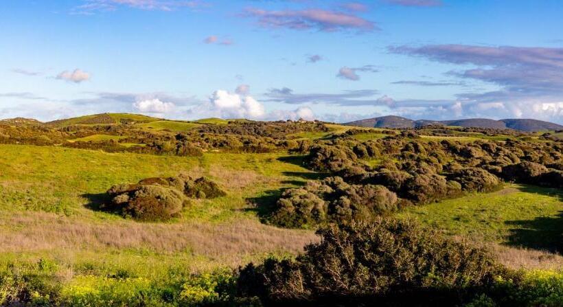 חדר דלוקס עם מרפסת נוף לים, Rena Majore Country Resort