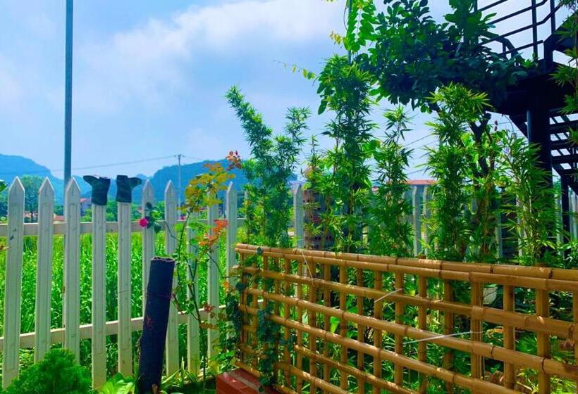 اتاق استاندارد با چشم‌انداز استخر, The Pineapple House