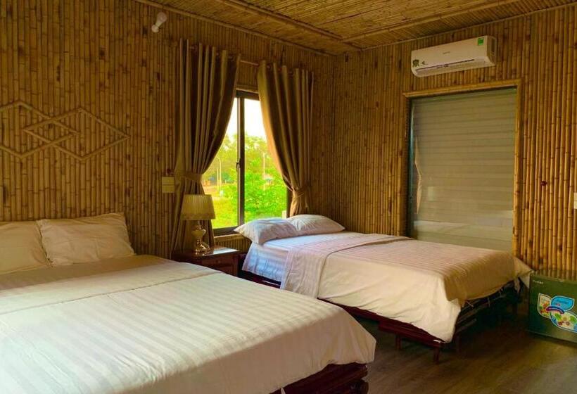 اتاق استاندارد چهار تخته, The Pineapple House