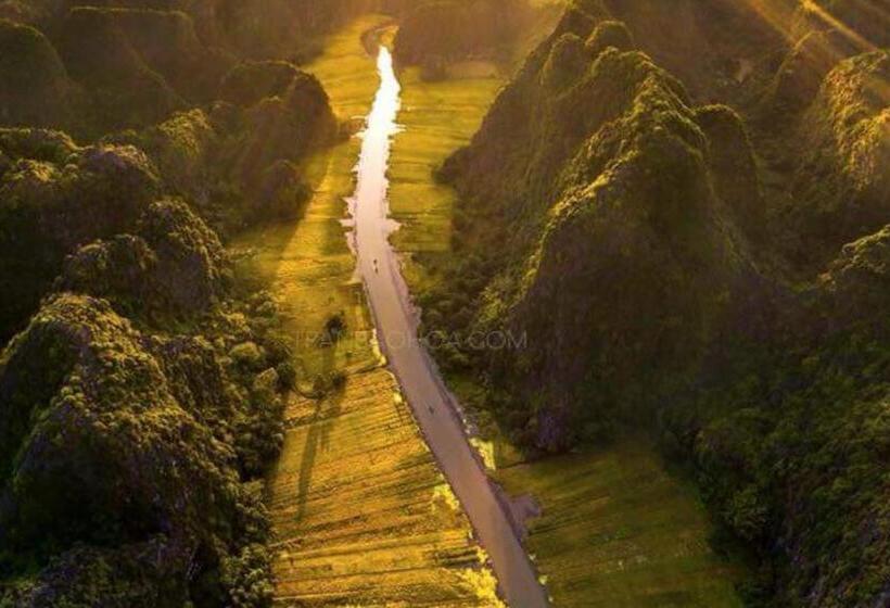 اتاق خانوادگی, The Pineapple House