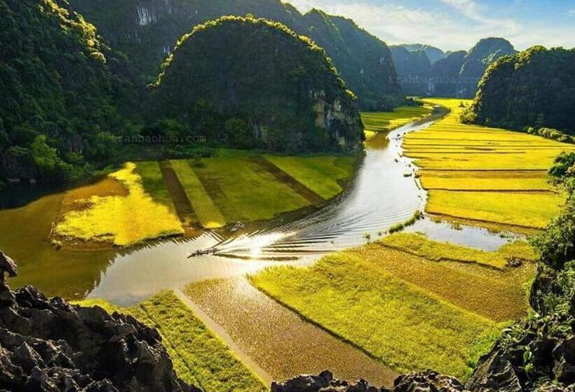 اتاق خانوادگی, The Pineapple House