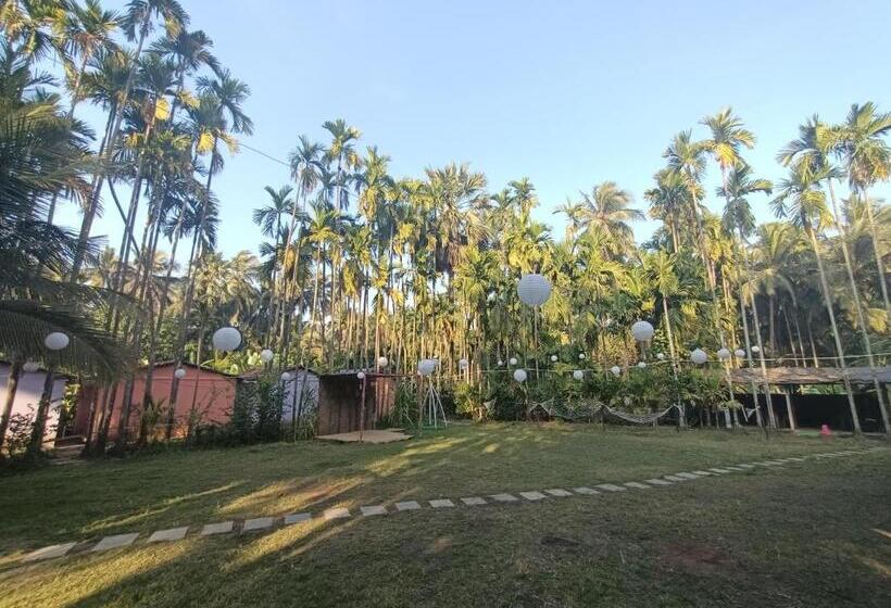 Standard Tent, Baadal Pani Beach Resort Near Kelwa Beach