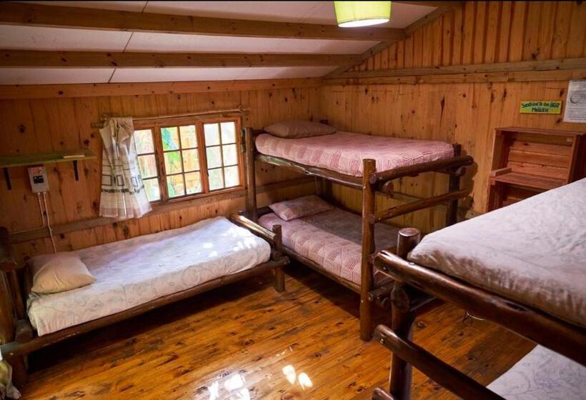Кровать в Общей Комнате, Mantis And Moon Surf Paradise & Adventure Lodge