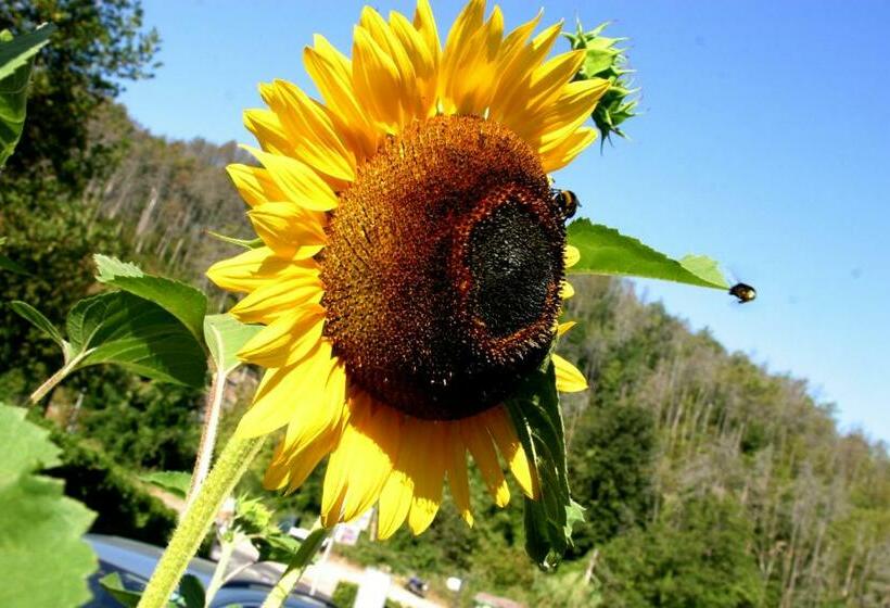 חדר סטנדרט לארבעה, Green Quiet Affittacamere