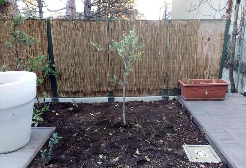 غرفة قياسية, Magnolia Room & Breakfast