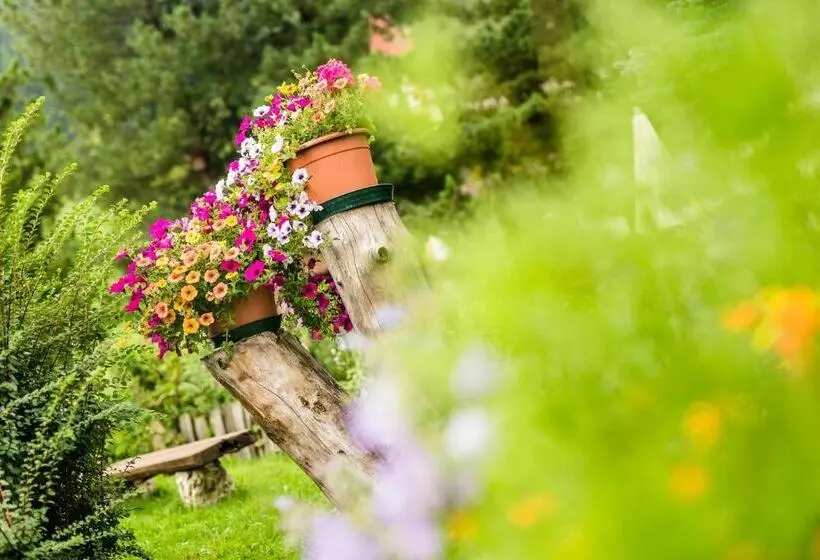 Comfort Yhden Hengen Huone, Dorfer Alpine&charming