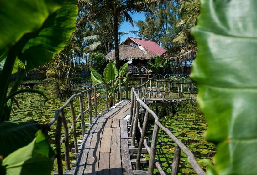 بانگلوی لوکس, Le Lagon